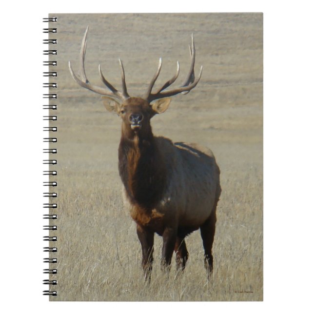 E59 Bull Elk Notebook (Front)