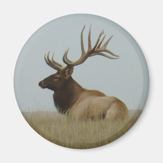 E5 Bull Elk Big Bull Magnet (Front)