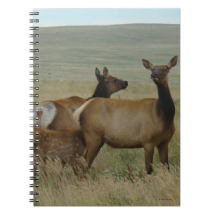 E61 Cow Elk and Calf Notebook