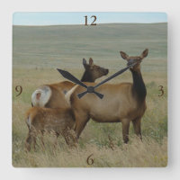 E61 Cow Elk and Calf