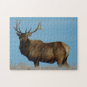 E62 Bull Elk Sky Lined puzzle. Jigsaw Puzzle