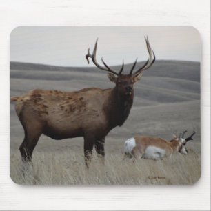 E63 Bull Elk and Pronghorn Antelope Mouse Pad