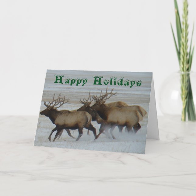 E64 Bull Elk Running Holiday Card (Front)