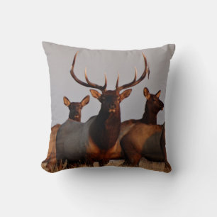 E66 Bull Elk and Cows Cushion