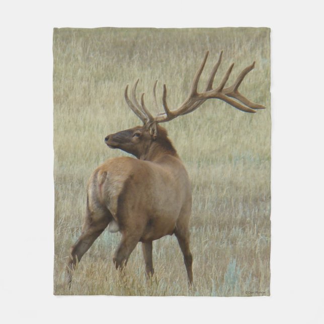 E6 Bull Elk in Velvet Fleece Blanket (Front)