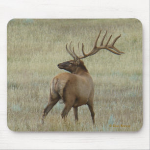 E6 Bull Elk in Velvet Mouse Pad