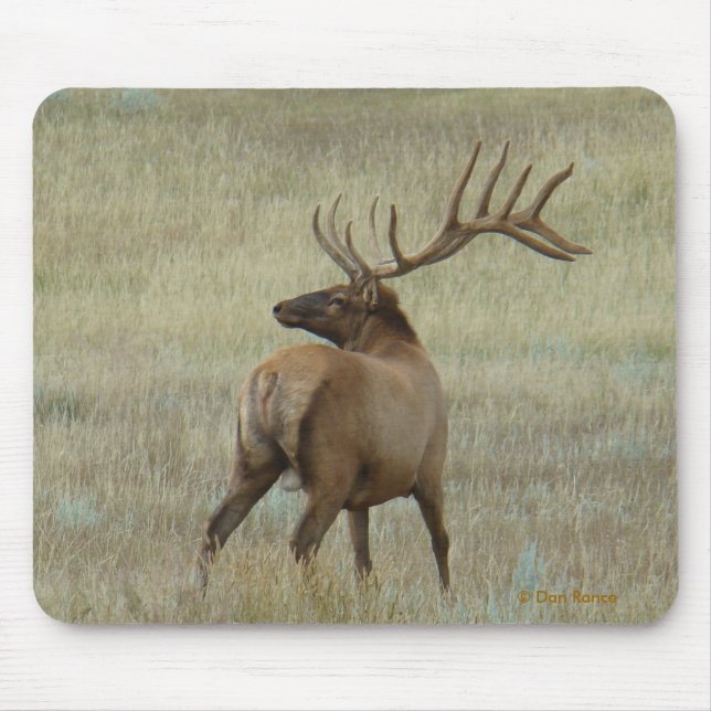 E6 Bull Elk in Velvet Mouse Pad (Front)