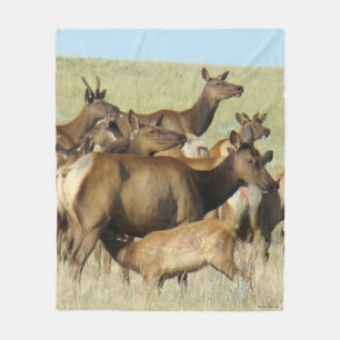 E7 Cow Elk Feeding Calf Fleece Blanket