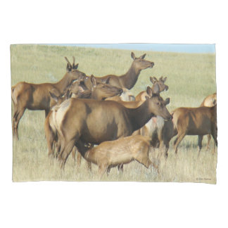E7 Cow Elk Feeding Calf Pillowcase