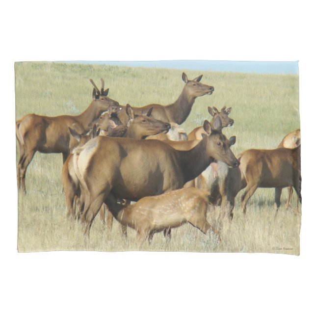 E7 Cow Elk Feeding Calf Pillowcase (Front)