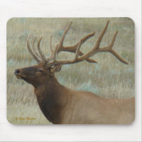 E9 Bull Elk in Velvet Head and Shoulders