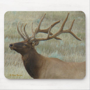E9 Bull Elk in Velvet Head and Shoulders Mouse Pad