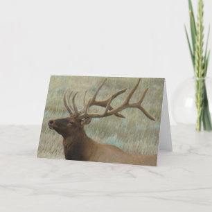 E9 Bull Elk in Velvet Head Shot Card