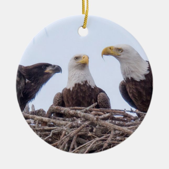 E9 & Family Holiday Ornament (Front)