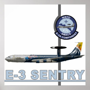 E-3 Sentry Print