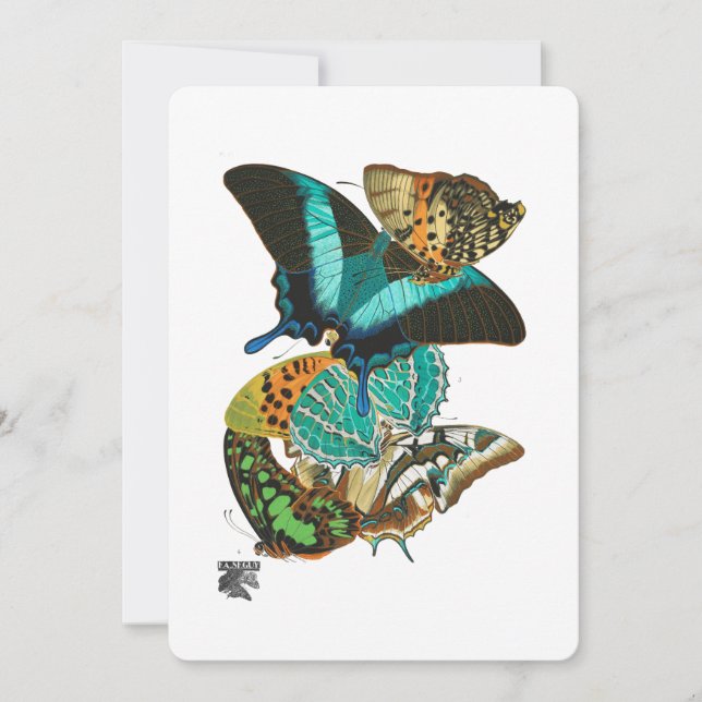 E.A. Séguy Vintage Butterflies Illustration Invitation (Front)