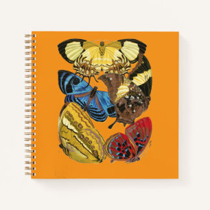E.A. Séguy's vintage butterflies Notebook