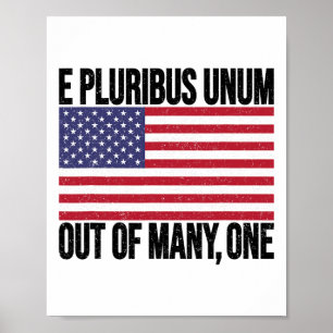 E Pluribus Unum Usa Flag For Women Men Poster