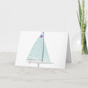 E-scow   Racing Sailboat onedesign  Class Card
