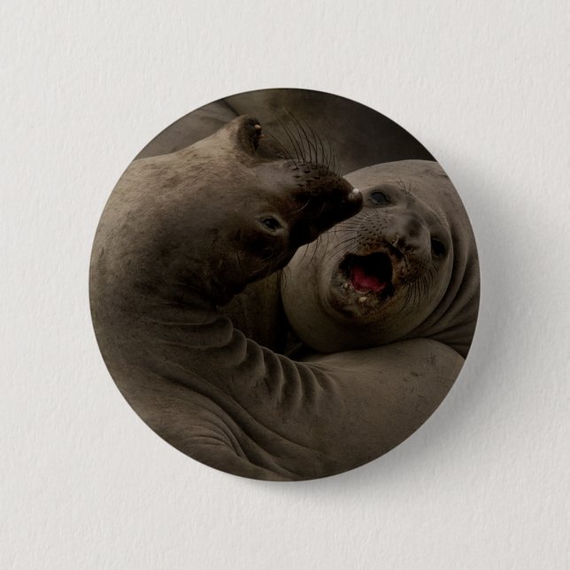 E-Seals Curve Button (Front)