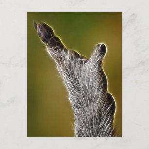 E.T. POSTCARD