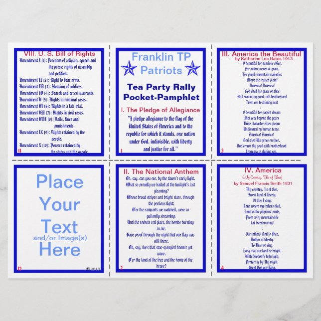 E-VIII** Patriotic Rally Pamphlet  (Customisable) Flyer (Front)