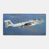 EA-6B PROWLER