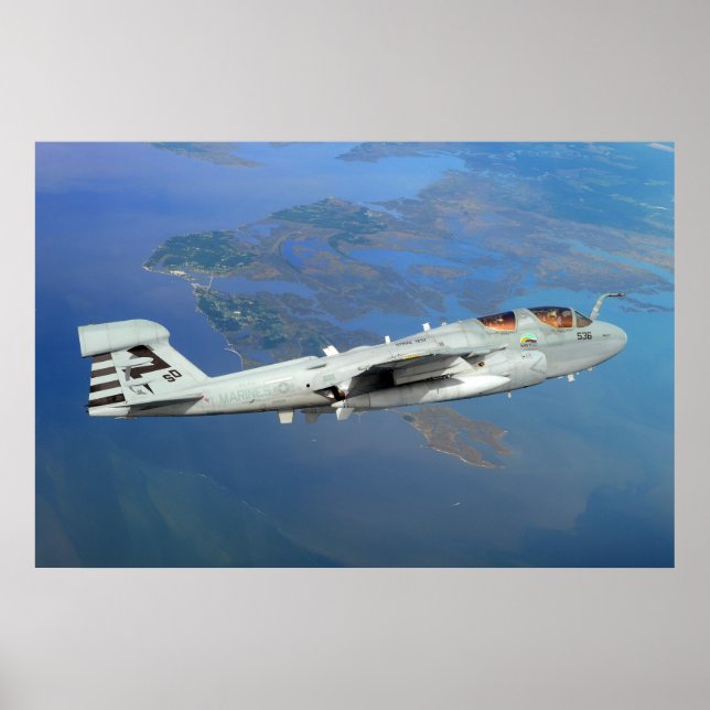 EA-6B Prowler Poster (Front)