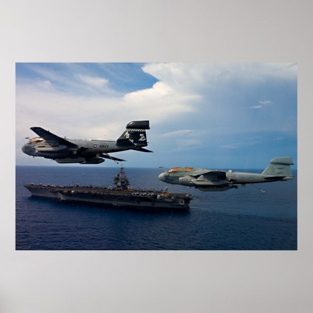 EA-6B Prowler Poster (Front)