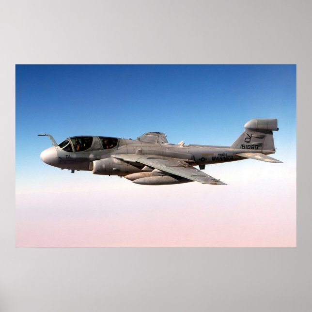 EA-6B Prowler Poster (Front)