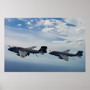 EA-6B Prowler Poster
