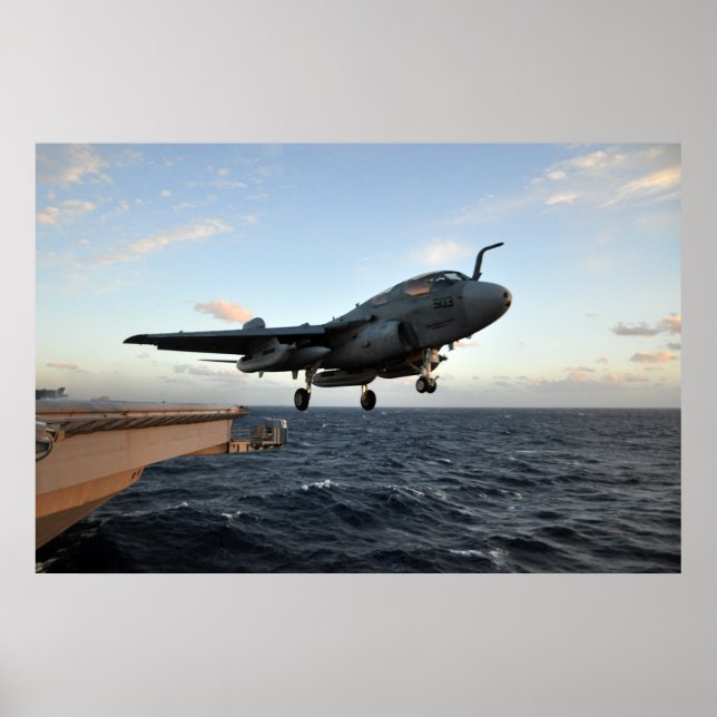 EA-6B Prowler Poster (Front)
