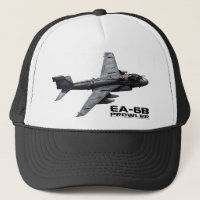 EA-6B Prowler