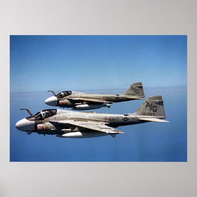 EA-6B Prowlers Poster (Front)