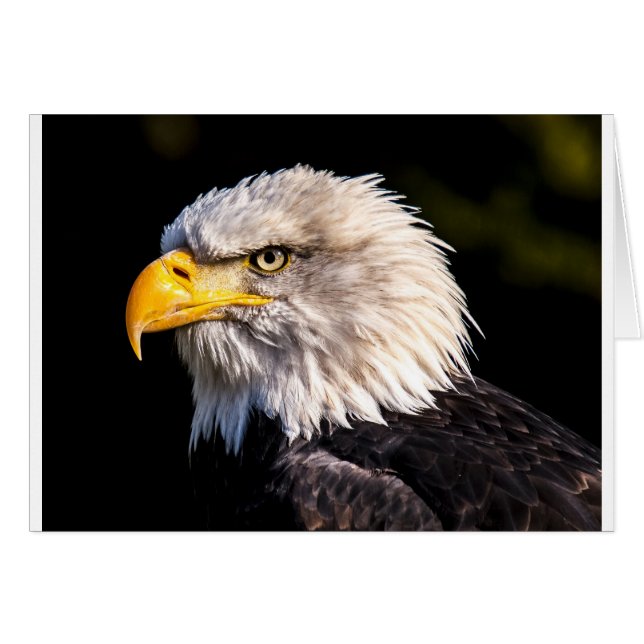 Eagle 2 (Front Horizontal)