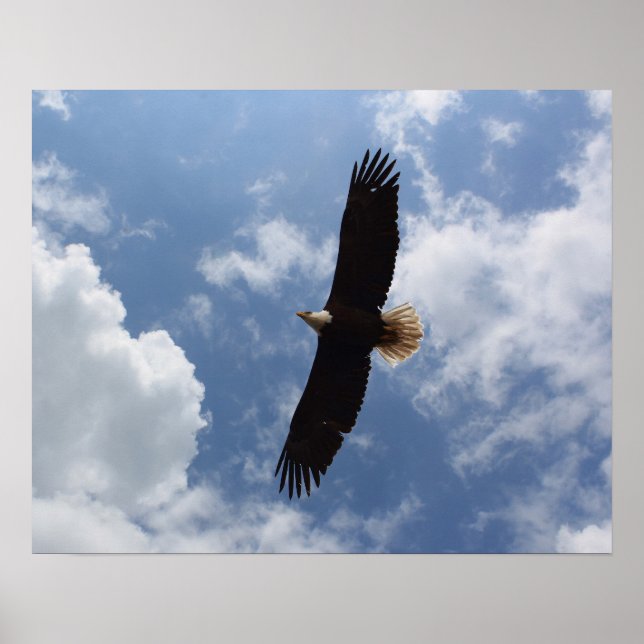 Eagle 2025 poster (Front)