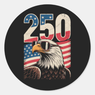 Eagle 250th Birthday Retro Independence Day _5 Classic Round Sticker