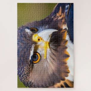 Eagle 2 jigsaw puzzle