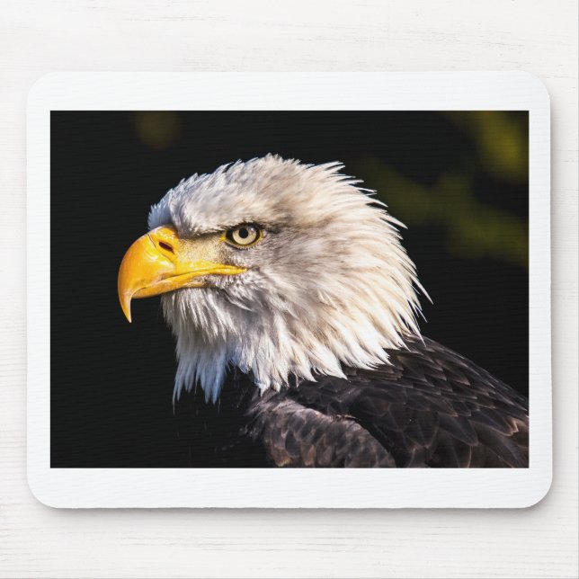 Eagle 2 mouse pad (Front)