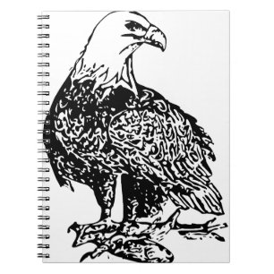 Eagle 2 notebook