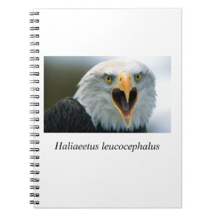 Eagle#2 Spiral Notebook