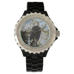 Eagle 2 watch