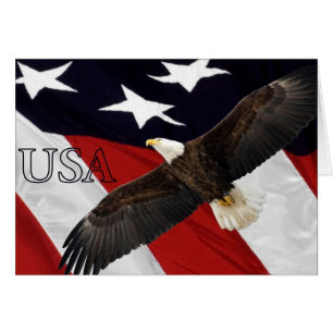 Eagle and American Flag USA