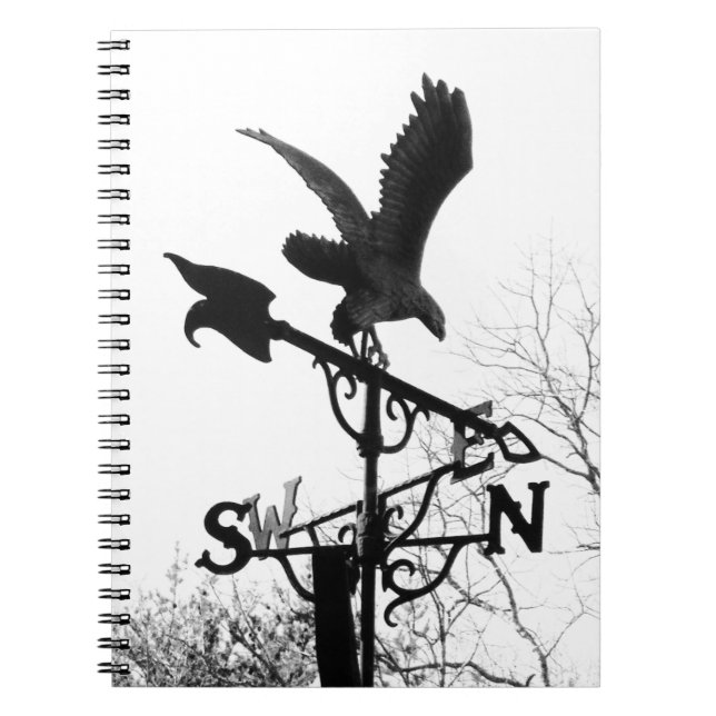 Eagle and Arrow Spiral Notebook (Front)