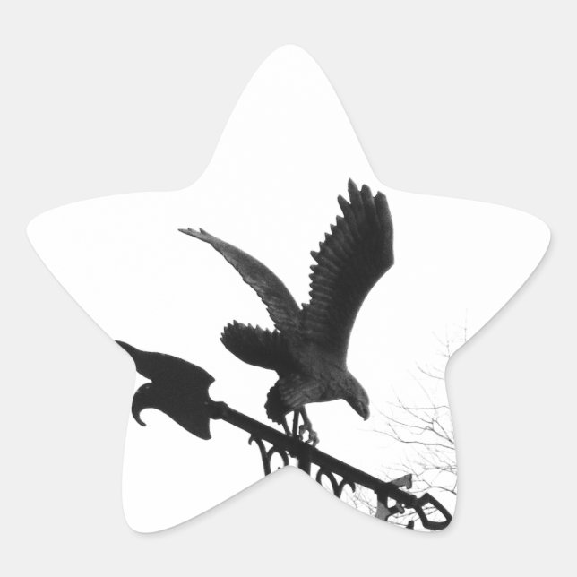 Eagle and Arrow Star Sticker (Front)