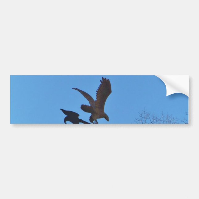 Eagle and Arrow Weather vane blue skys Bumper Sticker (Front)