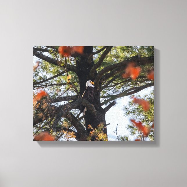 Eagle and Falling Leaves Canvas Print (Front)