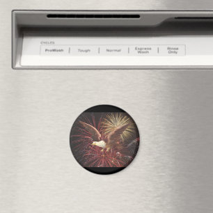 Eagle and Fireworks Magnet