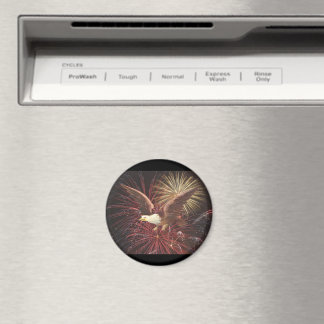 Eagle and Fireworks Magnet