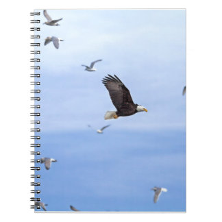Eagle and Seagulls Flying Notebook
